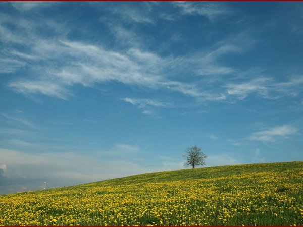 Heerlijk simpel, maar prachtig landschap.