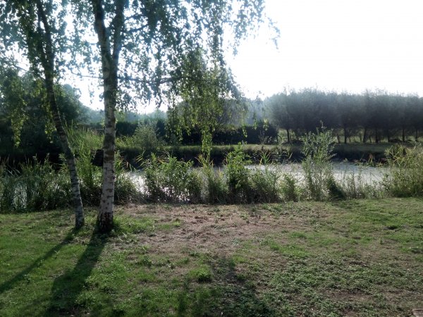 Photo5542-4
