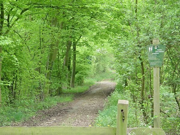 Photo5739-6